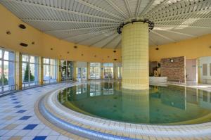 多瑙斯特雷达Galéria šťastia DS, balneológia的一座带大型天花板的建筑中的游泳池