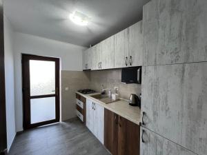 茹里洛夫卡Casa Lebăda的厨房配有木制橱柜、水槽和窗户。