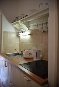 凯斯特海伊Helikon 32 Apartman Keszthely的厨房配有水槽和台面上的烤面包机