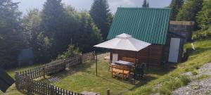 AndrijevicaKOMOVI- kobildo SMJESTAJ的小木屋配有桌子和雨伞