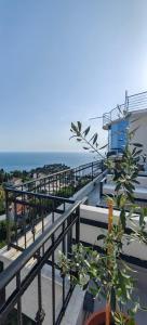 乌尔齐尼Adriatic Apartments的海景阳台。