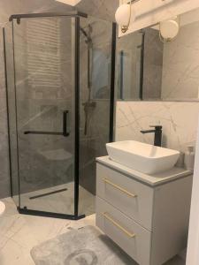 比得哥什Comfort18的一间带玻璃淋浴和水槽的浴室