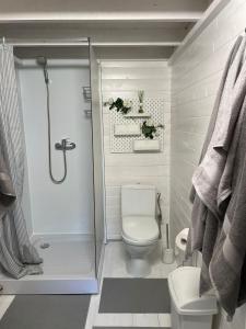 ĶesterciemsPiejūras Kaķīšu namiņš的一间带卫生间和淋浴的小浴室
