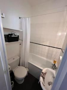 里尔Au cœur du VIEUX-LILLE : Charmant appartement的白色的浴室设有卫生间和水槽。
