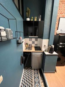 里尔Au cœur du VIEUX-LILLE : Charmant appartement的一个带水槽和柜台的厨房模型