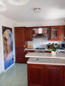 里耶卡Apartman 4的厨房配有木制橱柜和台面