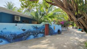 OmadhooBird Beak Beach的蓝色的墙壁,上面画着鱼