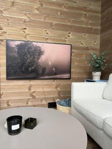 松达尔Rindabotten Panorama的客厅设有木墙,配有电视。