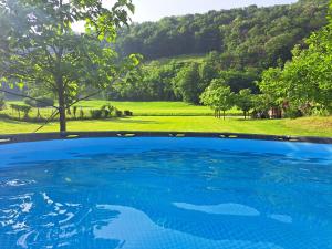 托尔明GLAMPING HIŠKe PETRIN的享有田野和树木景致的游泳池
