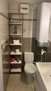 梅济约Chez Sabine et Pascal的一间带卫生间和水槽的小浴室