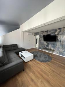 萨拉热窝Villa Luca Free Garage Parking的带沙发和电视的客厅