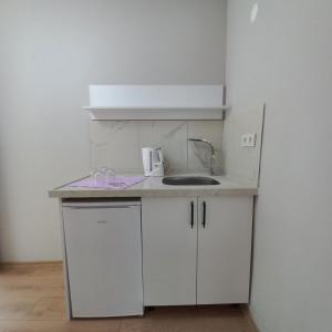 特拉布宗Newsuit2023的白色的小厨房配有水槽和微波炉