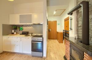 弗济内Studio Apartman Roxy的厨房配有白色橱柜和炉灶。