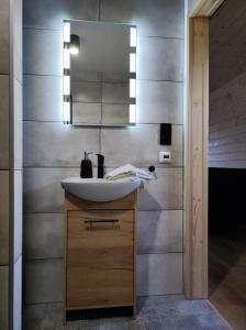 鲁穆尼卡Widok na Śnieżkę - domki całoroczne的一间带水槽和镜子的浴室