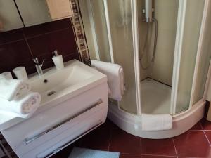 马图利Apartman Roža的一间带水槽和淋浴的浴室
