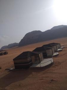 瓦迪拉姆Desert guide camp的一群帐篷坐在沙漠中