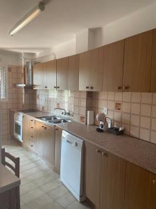 科利德纳尔戈Apartamento con estupendas vistas a Coll de Nargó的厨房配有木制橱柜和白色洗碗机。