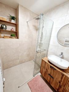 斯皮什新村City Center Apartment - Self check-in的一间带水槽和淋浴的浴室