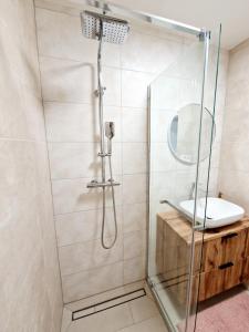 斯皮什新村City Center Apartment - Self check-in的一个带水槽和镜子的淋浴间