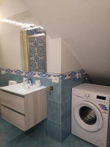 弗洛里Villa Furoris Apartment的一间带洗衣机和水槽的浴室