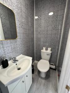 布里斯托DVMescape flat1的浴室配有白色水槽和卫生间。