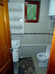 RožajeWeekend house Grahovača的一间带卫生间和窗户的小浴室