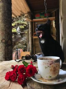 RožajeWeekend house Grahovača的一只黑猫坐在桌子上,拿着杯和玫瑰