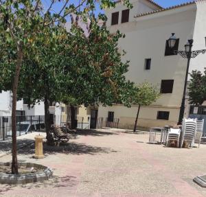 安特克拉Casa Mejías, excelente localización, cerca de los principales puntos turísticos de Antequera的建筑前方的庭院,带椅子和树木