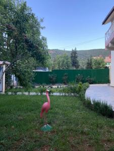 伊穆泽尔杜坎达Villa ain soltan的一只粉色鸟站在院子的草地上