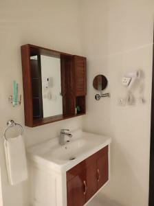 艾卜哈Kyan Park Abha Hotel的一间带水槽和镜子的浴室