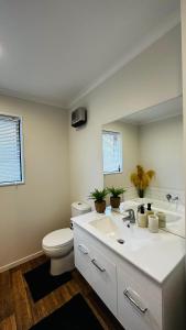 罗尔斯顿Stay with the Singhs的一间带水槽、卫生间和镜子的浴室