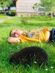 索洛钦Еко Дім з СОЛОМИ的躺在草地上的小孩