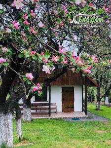 索洛钦Еко Дім з СОЛОМИ的一座小建筑,长有长凳和粉红色的花朵