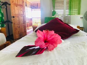 阿皮亚阿坡拉高地休息室宿加早餐旅馆的床上一朵粉红色的花