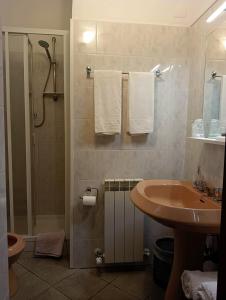 塞斯塔戈达诺Terra Del Bosco Agriturismo的浴室配有盥洗盆、淋浴和毛巾