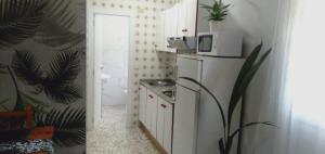 埃尔帕尔马Apartamentos Camping El Palmar的小厨房配有冰箱和微波炉。