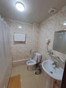 塔什干Sofiya Tashkent Hotel的一间带卫生间和水槽的浴室