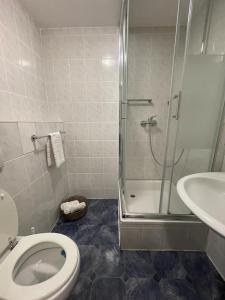 梅尔齐希Hotel Roma的带淋浴、卫生间和盥洗盆的浴室