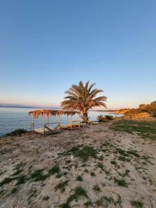 MaroniSummer Dream Cyprus的一片带帐篷和棕榈树的海滩