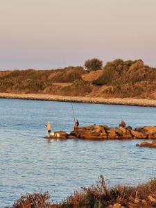 MaroniSummer Dream Cyprus的一群人在水体中捕鱼