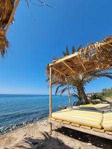 MaroniSummer Dream Cyprus的一个带草伞的海滩和大海
