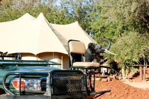 Karongwe Game ReserveKarongwe Portfolio - Chisomo Safari Camp的站在卡车旁的大象雕像