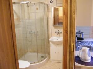 乌斯特卡Domki WIKA 2的带淋浴、盥洗盆和卫生间的浴室