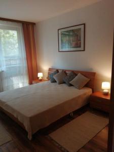 科马尔诺Apartman Classic的一间卧室设有一张大床和一个窗户。