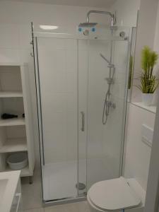 奥克宁卡SANSET APART Okuninka的浴室设有玻璃淋浴间和卫生间