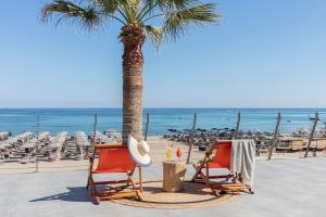 罗希姆诺拉奎拉波尔图雷斯蒙酒店的海滩上的两把椅子和一棵棕榈树
