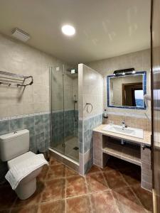 阿尔卡拉德尔胡卡尔Alkalea Hospedería的浴室配有卫生间、盥洗盆和淋浴。