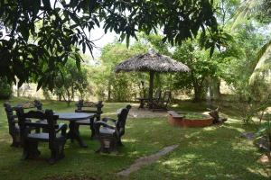 锡吉里亚Sigiri Dilu Villa的花园配有桌椅和遮阳伞。