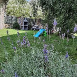 奇普KAPITAŃSKA 88的一个带野餐桌和紫色鲜花的花园