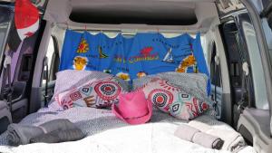 圣米格尔德阿沃纳EndlessCamperVan的一张带枕头和粉红色帽子的梳妆台